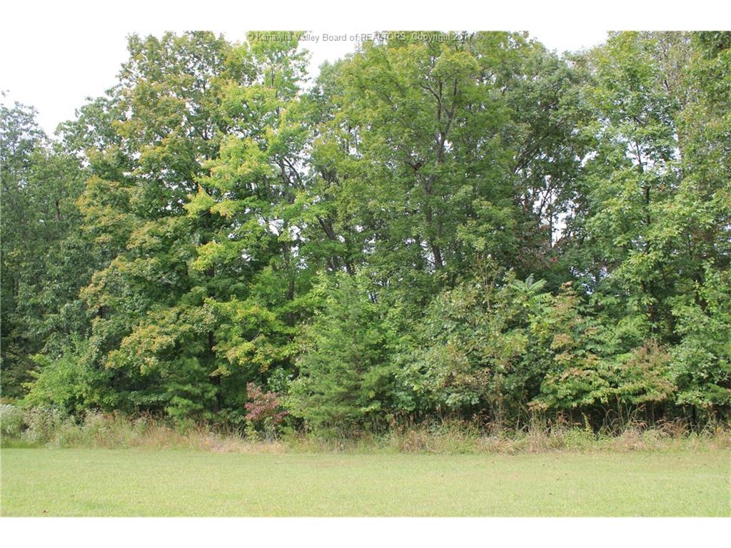 0 Ridgeview Drive, Ripley, WV 25271