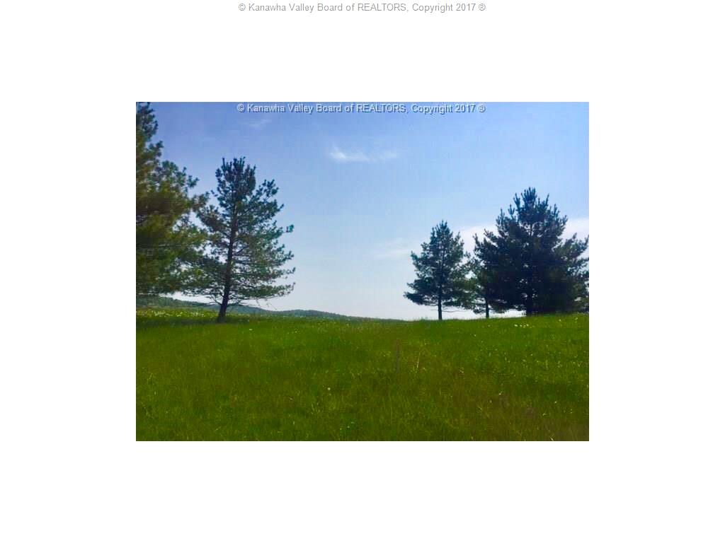 0 Sycamore Road, Ripley, WV 25271