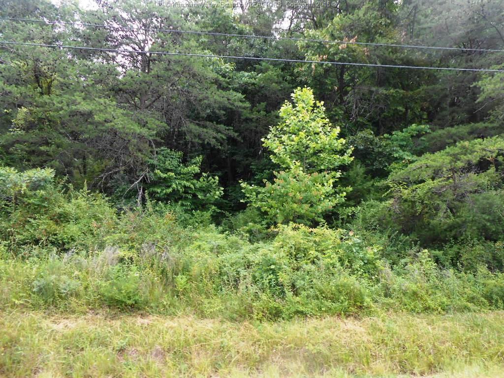 4439 Ripley Road, Ripley, WV 25271