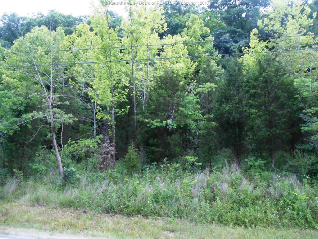 4439 Ripley Road, Ripley, WV 25271