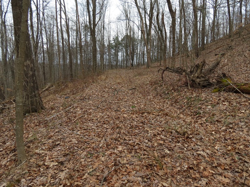 123 Vicars Ridge Rd , Walton, WV 25286