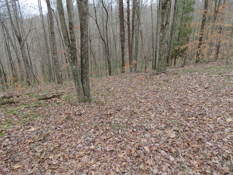 123 Vicars Ridge Rd , Walton, WV 25286