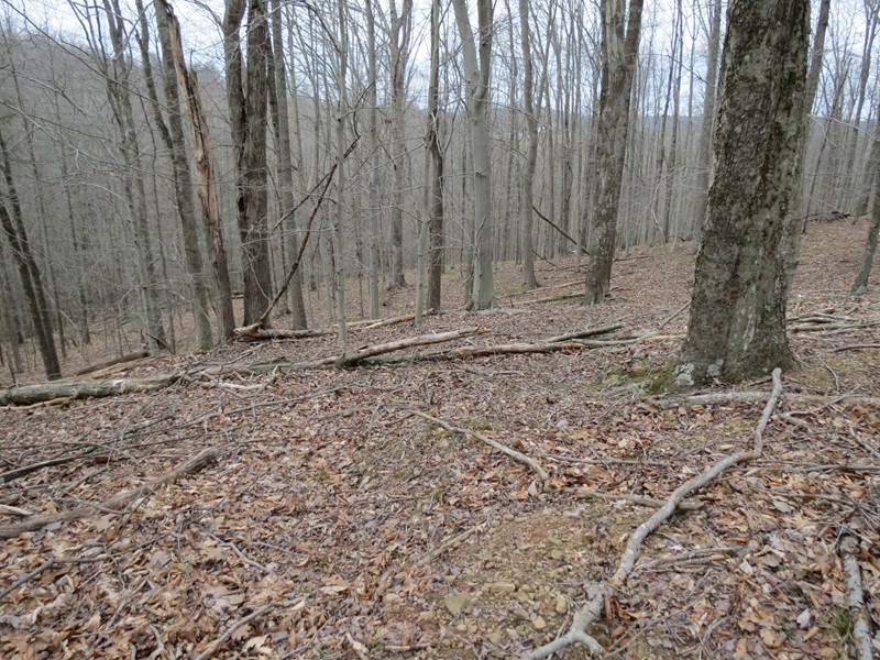 123 Vicars Ridge Rd , Walton, WV 25286