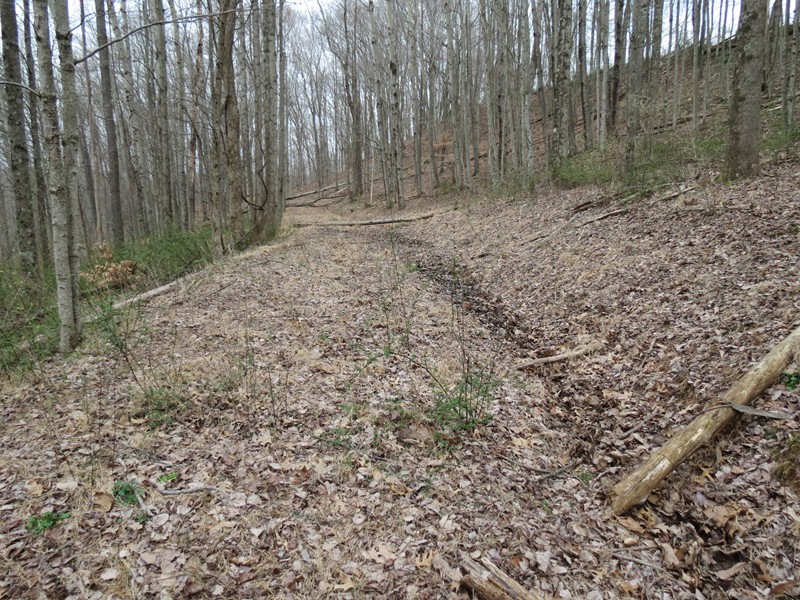 123 Vicars Ridge Rd , Walton, WV 25286
