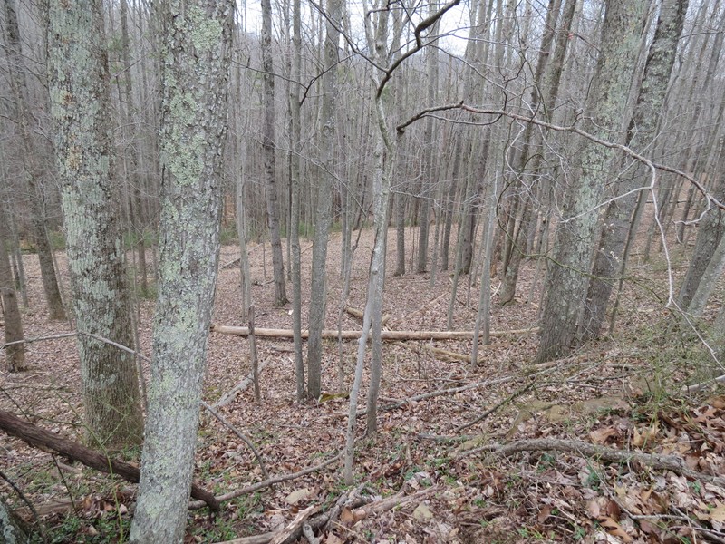123 Vicars Ridge Rd , Walton, WV 25286