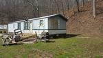 853 ROBINSON RUN RD ,WV, Walton, 25286