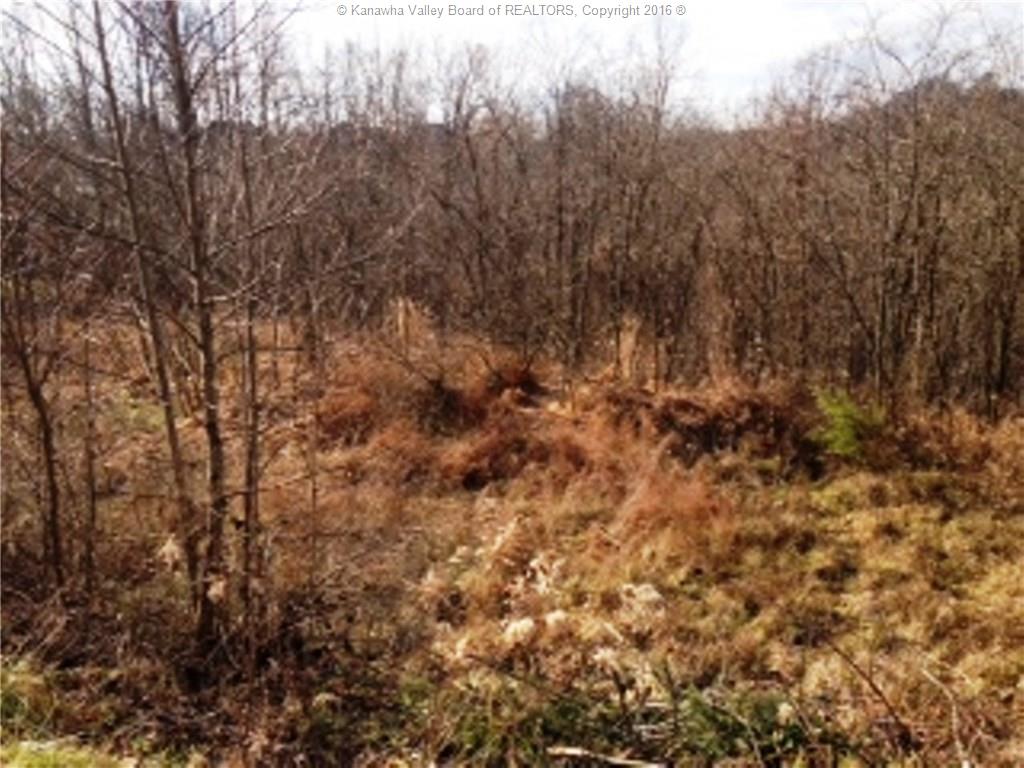 314 WOODBRIDGE Drive, Charleston, WV 25311