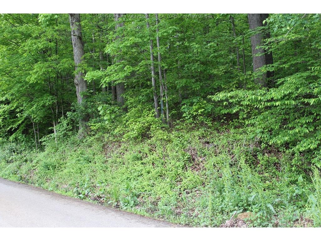 0 Kelly Road, Cross Lanes, WV 25313
