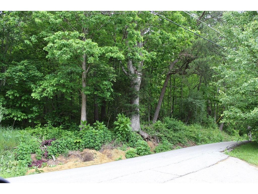 0 Kelly Road, Cross Lanes, WV 25313