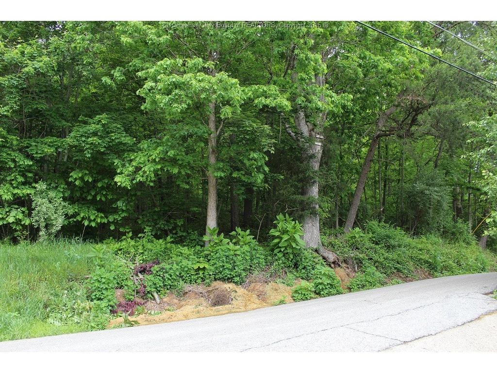 0 Kelly Road, Cross Lanes, WV 25313