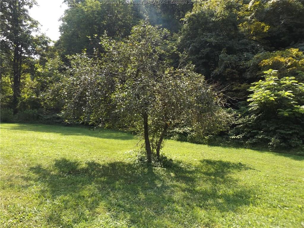 0 Fishers Branch Road, Cross Lanes, WV 25313