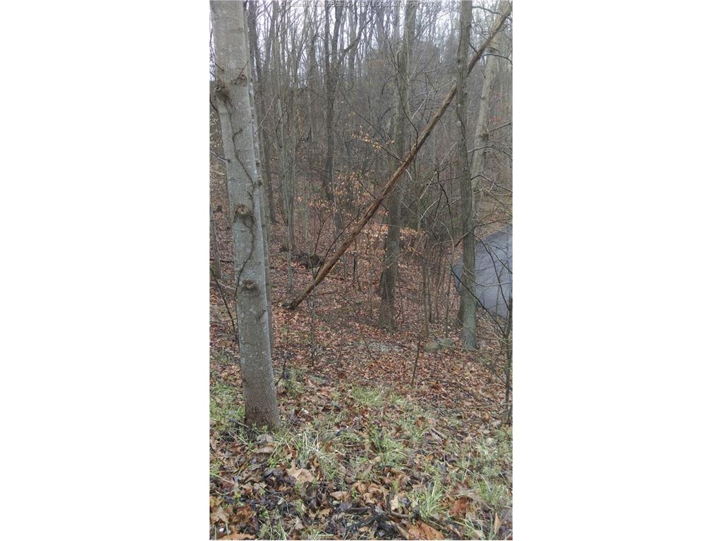 0 Stonehenge Road, Lot 40, Charleston, WV 25314