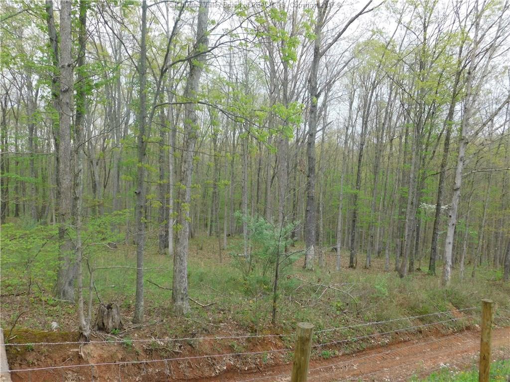 0 Derricks Creek Road, Charleston, WV 25320