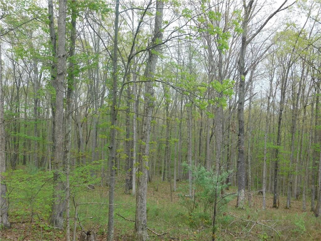 0 Derricks Creek Road, Charleston, WV 25320