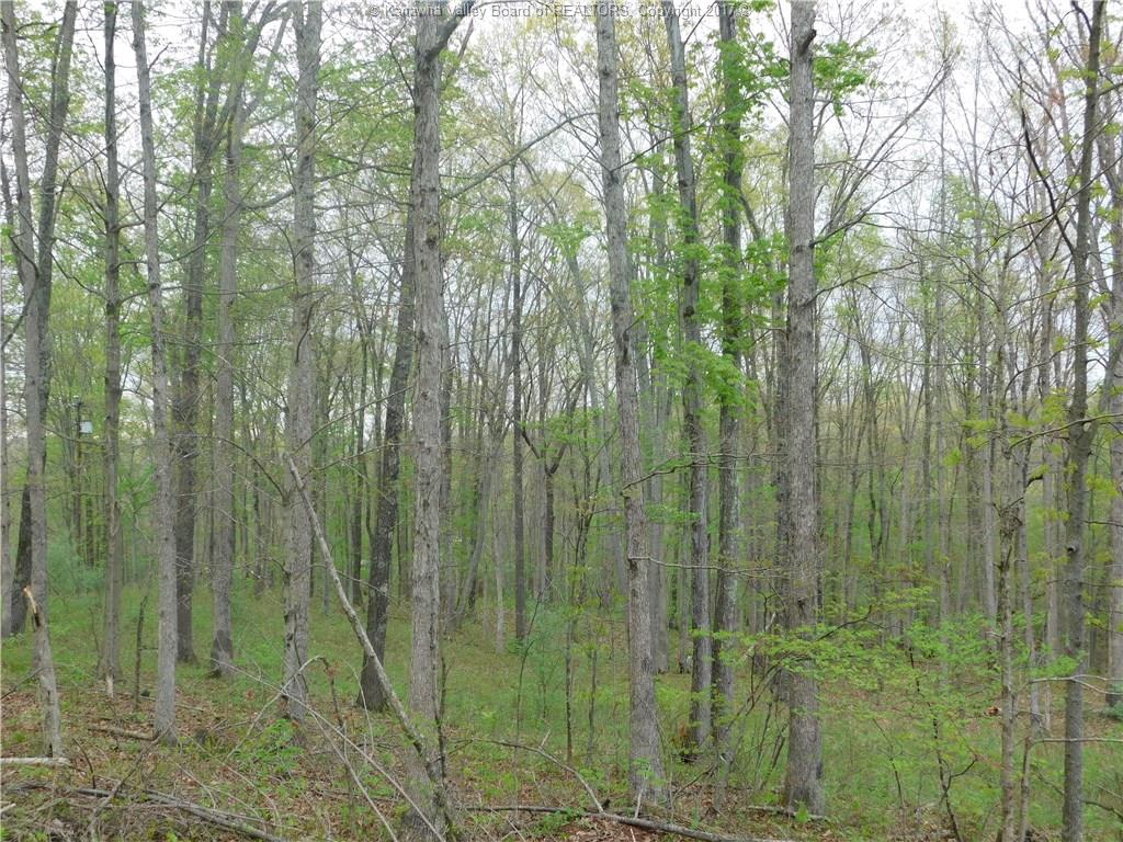 0 Derricks Creek Road, Charleston, WV 25320