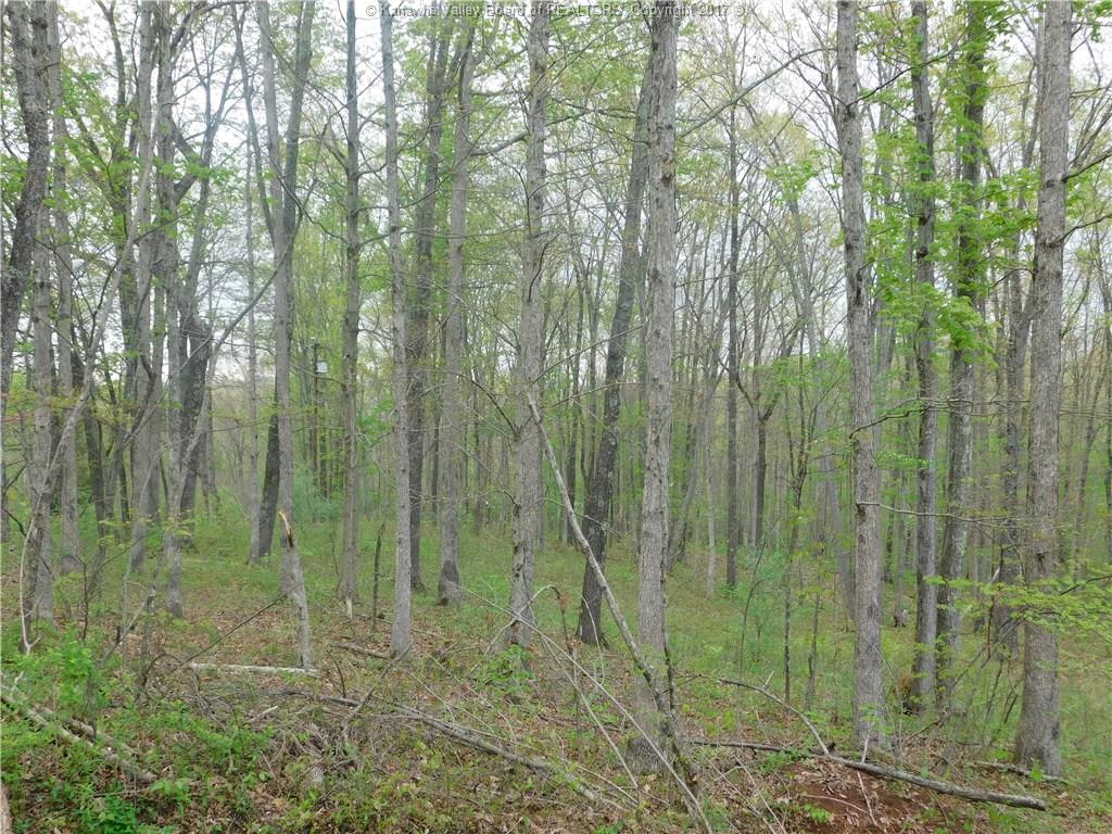 0 Derricks Creek Road, Charleston, WV 25320