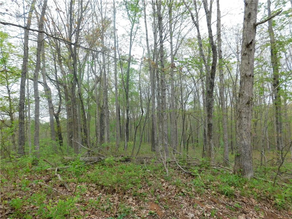 0 Derricks Creek Road, Charleston, WV 25320