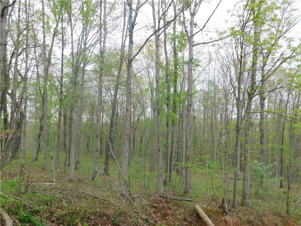 0 Derricks Creek Road, Charleston, WV 25320