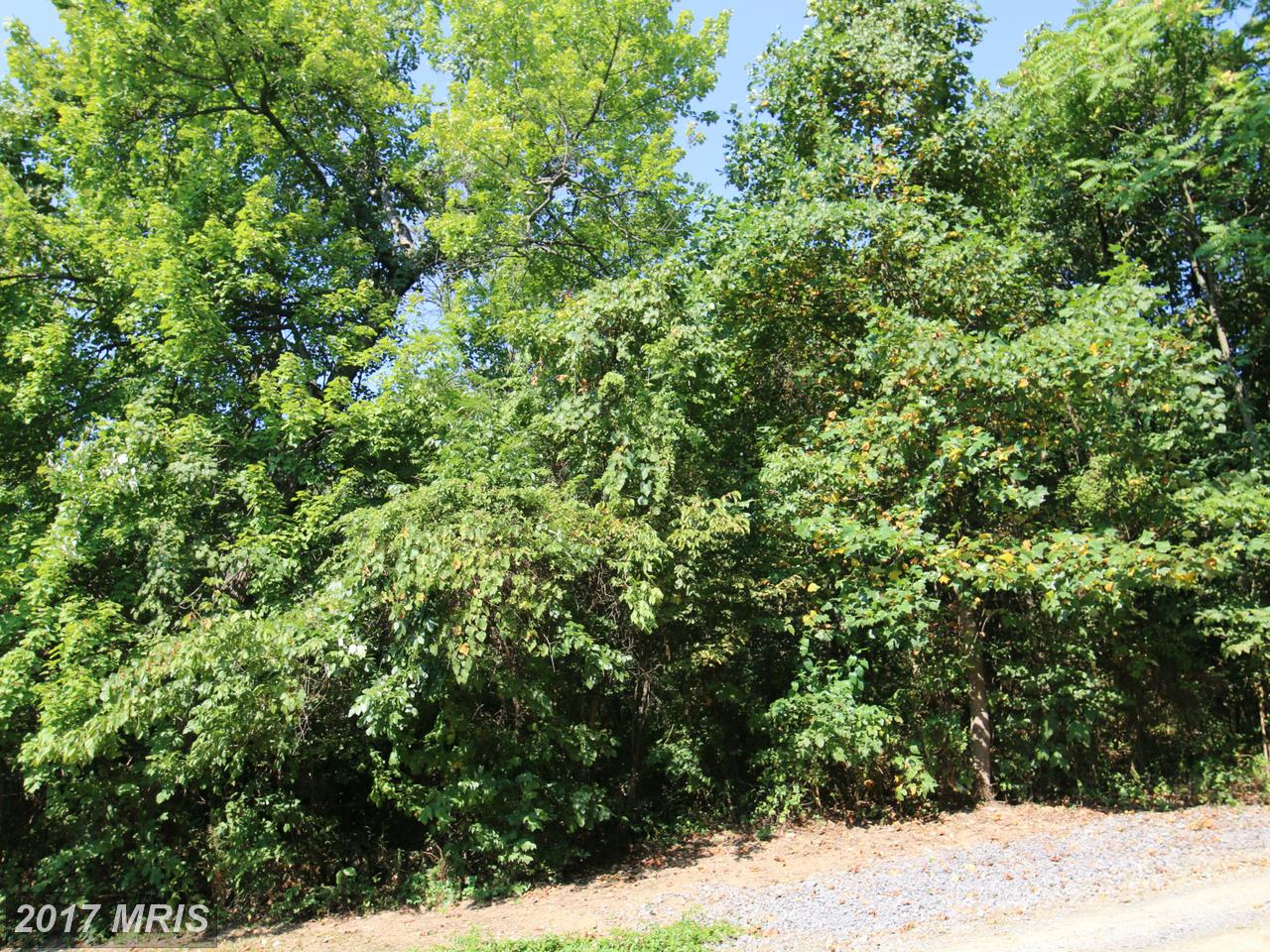 MIRACLE LN, Martinsburg, WV 25401