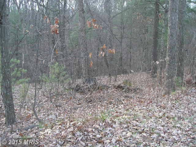 202 Old Mill Rd