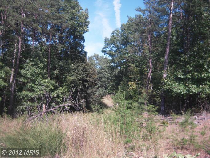 202 Old Mill Rd