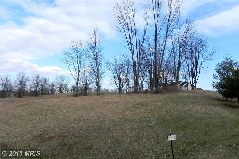 43 Renaissance Dr