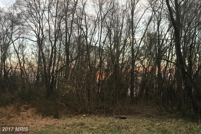 PLAZA, Martinsburg, WV 25404