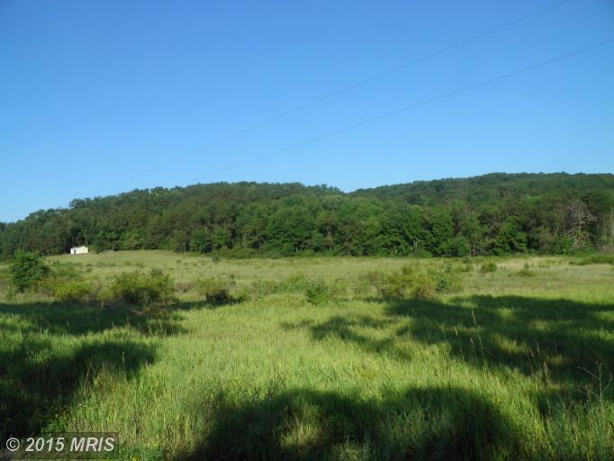 Williamsport Pike