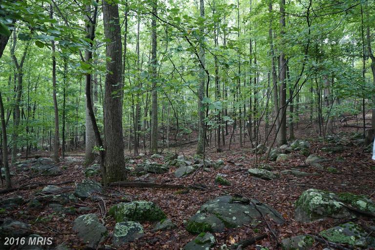PARKSIDE DRIVE, Berkeley Springs, WV 25411