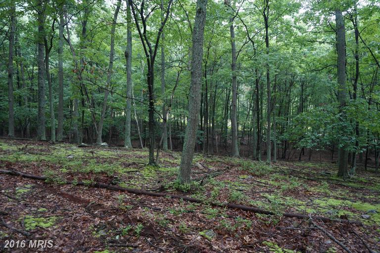 PARKSIDE DRIVE, Berkeley Springs, WV 25411