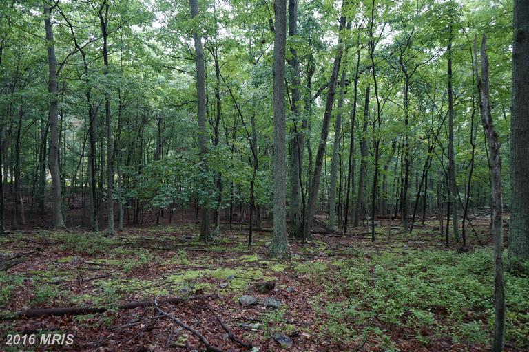 PARKSIDE DRIVE, Berkeley Springs, WV 25411