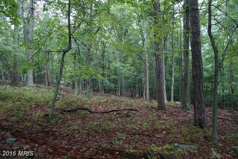 PARKSIDE DRIVE, Berkeley Springs, WV 25411