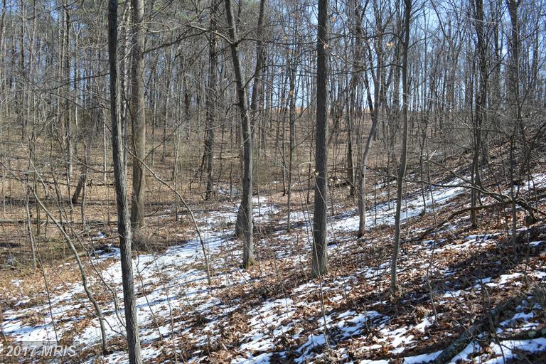 LITTLE CREEK TRAIL, Berkeley Springs, WV 25411