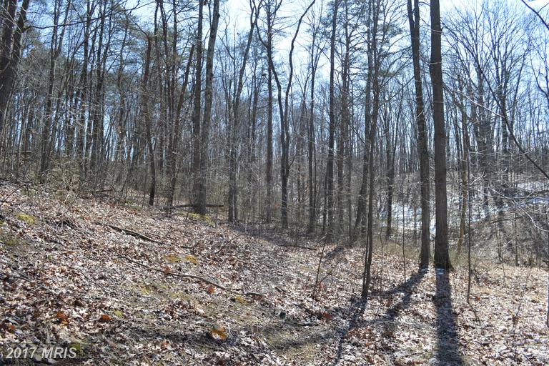 LITTLE CREEK TRAIL, Berkeley Springs, WV 25411