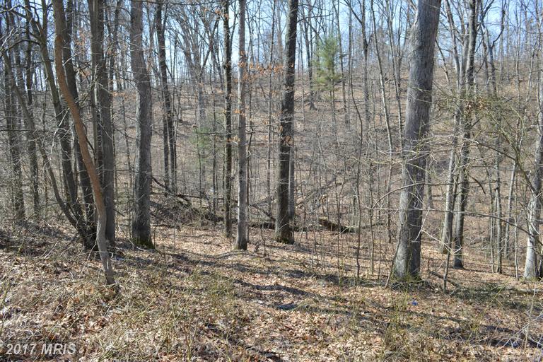 LITTLE CREEK TRAIL, Berkeley Springs, WV 25411