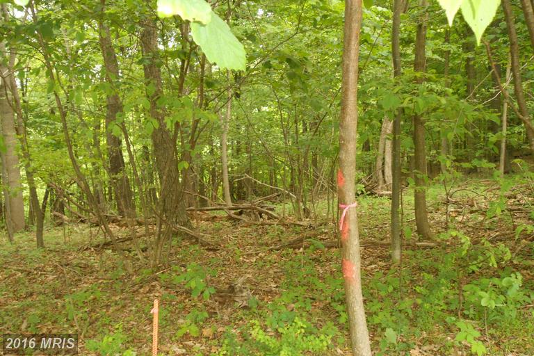 18 CUBBY HOLE LANE, Berkeley Springs, WV 25411