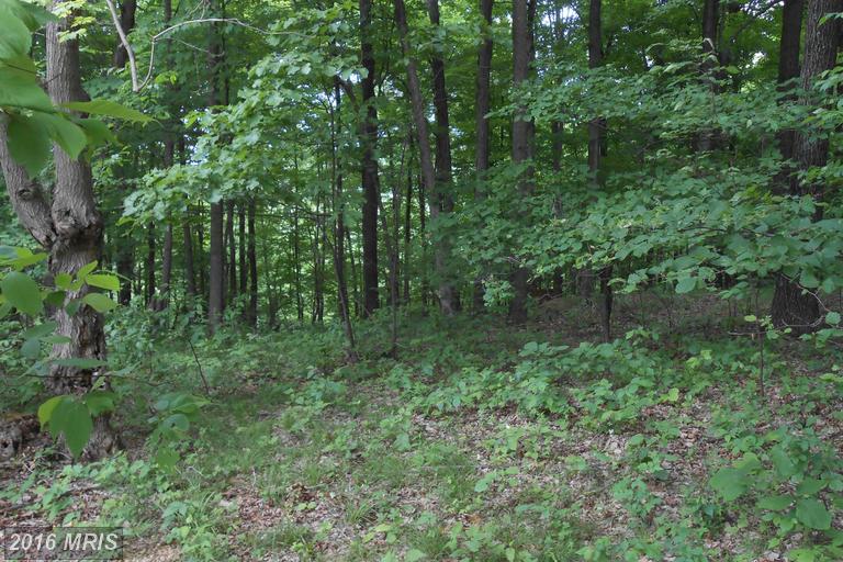 18 CUBBY HOLE LANE, Berkeley Springs, WV 25411
