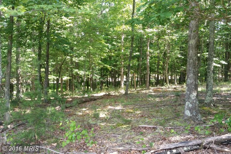 20 BEAR PAW TRAIL, Berkeley Springs, WV 25411