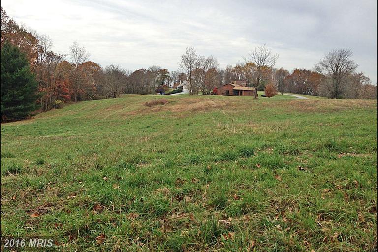 PEACH ORCHARD, Berkeley Springs, WV 25411