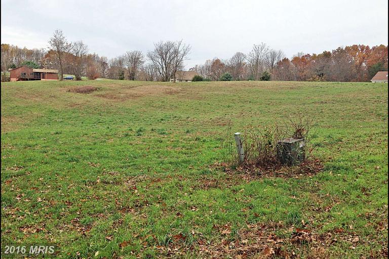 PEACH ORCHARD, Berkeley Springs, WV 25411