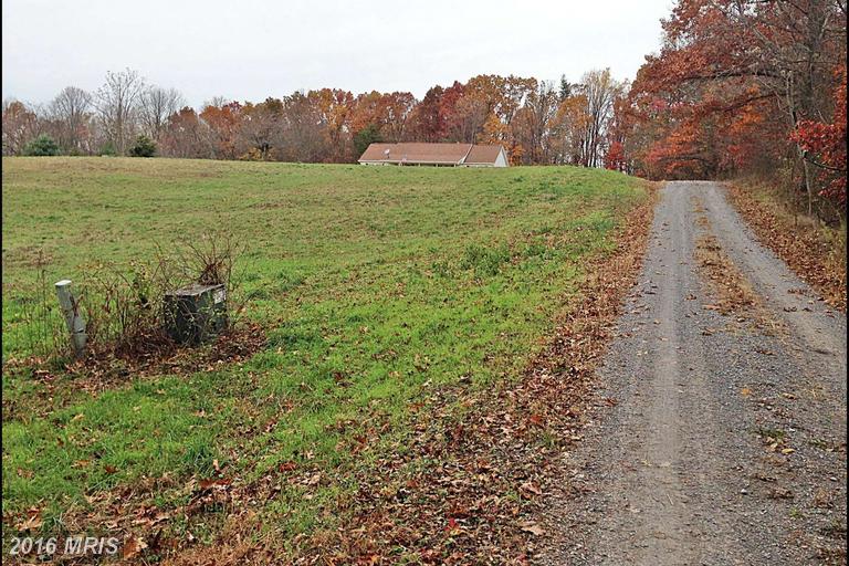 PEACH ORCHARD, Berkeley Springs, WV 25411