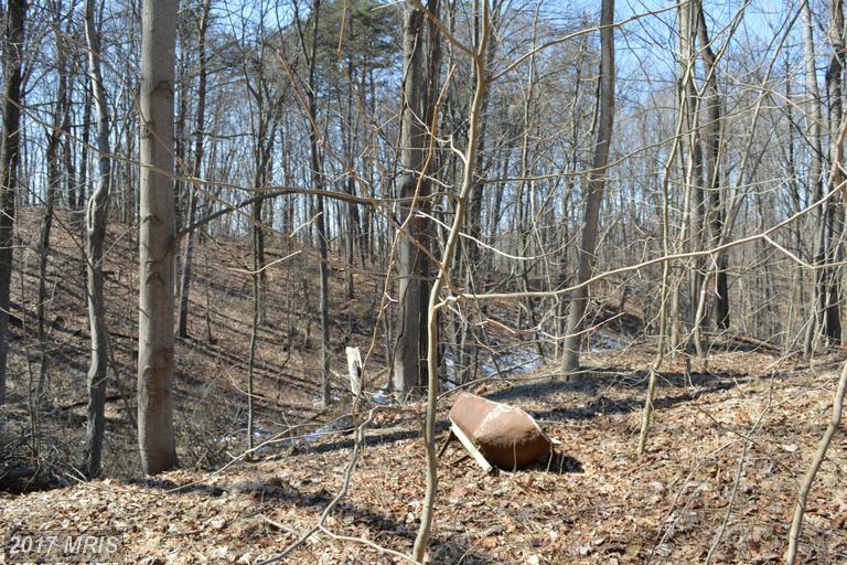 LITTLE CREEK TRAIL, Berkeley Springs, WV 25411