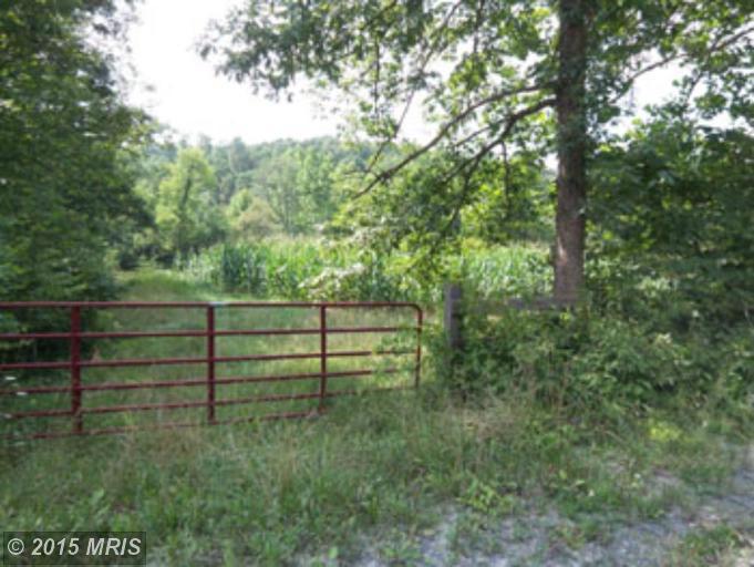 POSEY HOLLOW ROAD, Berkeley Springs, WV 25411