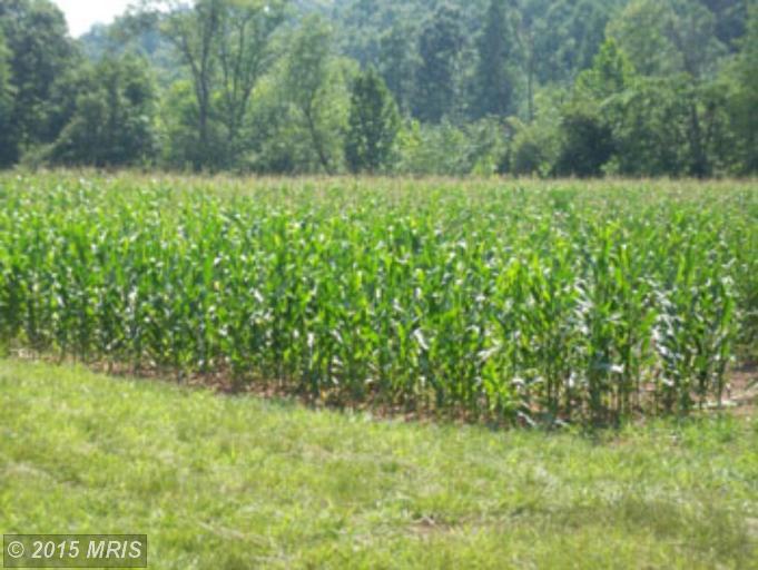 POSEY HOLLOW ROAD, Berkeley Springs, WV 25411