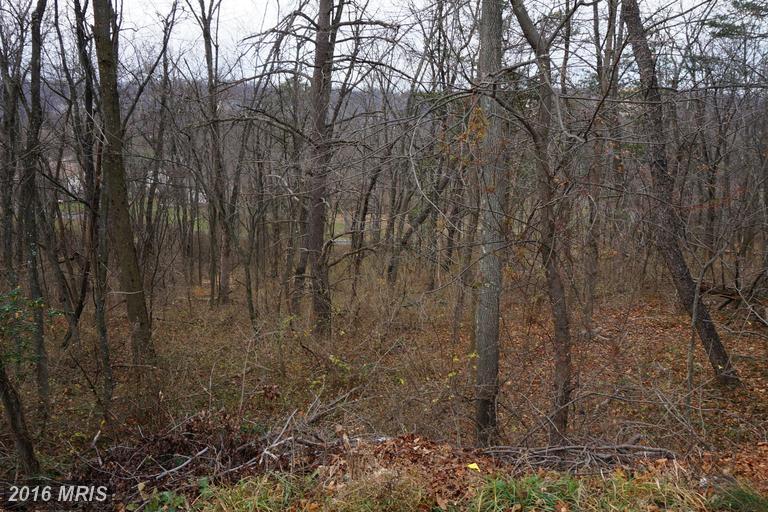 FAIRVIEW DRIVE, Berkeley Springs, WV 25411