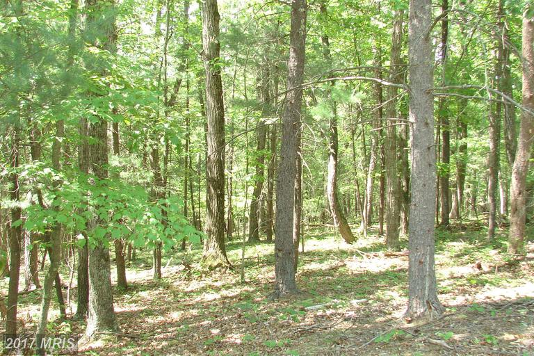 TWIN LAKES, Berkeley Springs, WV 25411