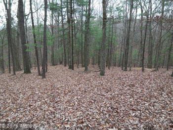 WINCHESTER GRADE, Berkeley Springs, WV 25411