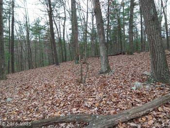 WINCHESTER GRADE, Berkeley Springs, WV 25411