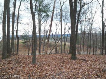 WINCHESTER GRADE, Berkeley Springs, WV 25411