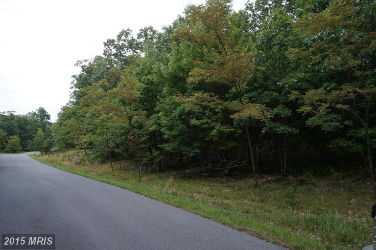 PARKSIDE DR ROAD, Berkeley Springs, WV 25411